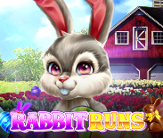 Rabbit Runs