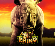 Rhino